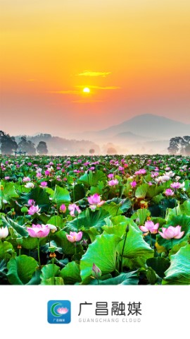广昌融媒 V5.1.2截图3
