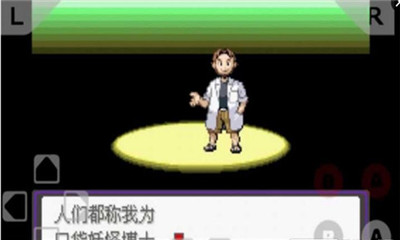 口袋妖怪漆黑的魅影 V1.6.2截图3