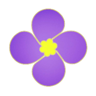 紫金草视频 V4.4.2