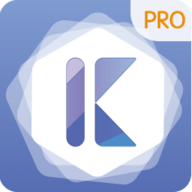 伴车星 V6.7.4